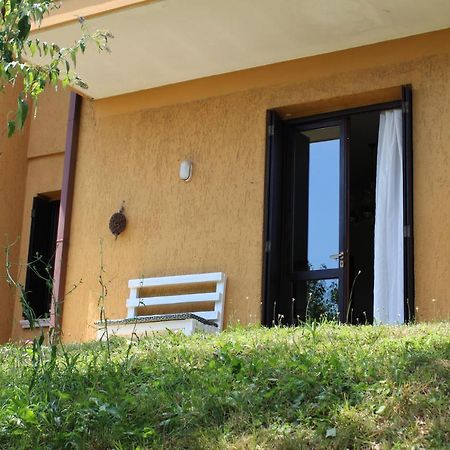 B&B Drusilla Garden Soiano Del Lago Dış mekan fotoğraf